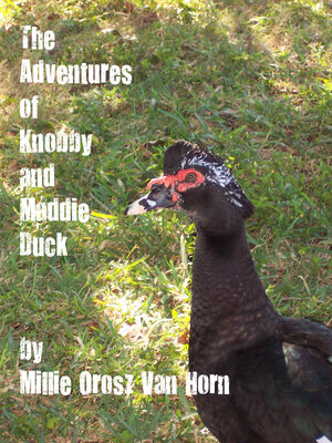 cover image of The Adventures of Knobby and Maddie Duck